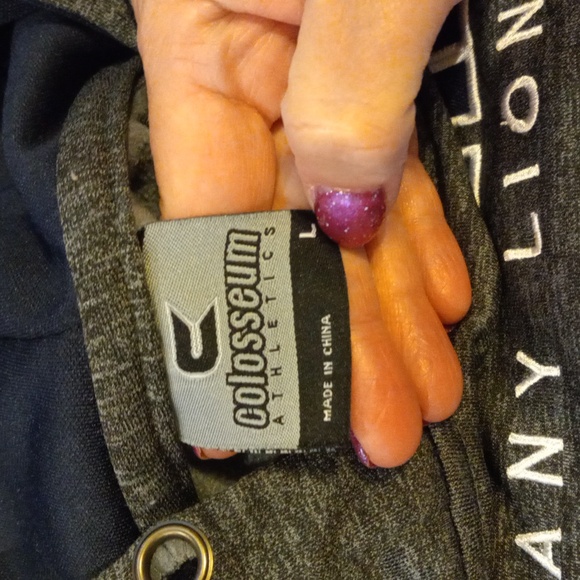 Heavy well made Penn State Nittany Lions hoodie men's size large unisex - Picture 4 of 7